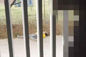 南京航空航天大学一名大二学生跳楼身亡(图)