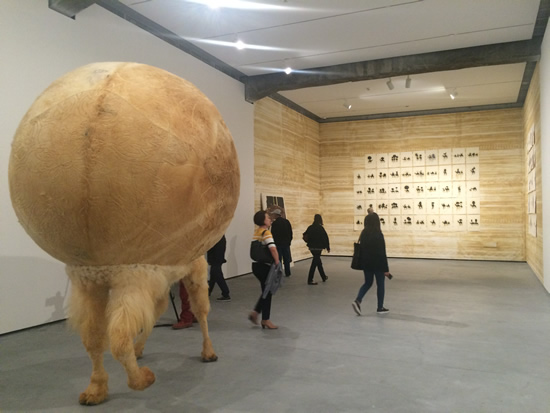 展览现场 (16)