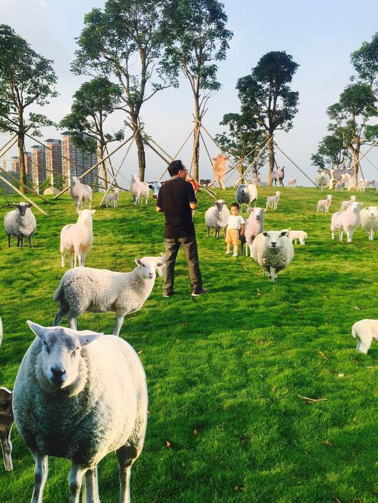 С������������������������Ʒ��ţ��Ⱥ���гٳٲ�Ը��ȥ