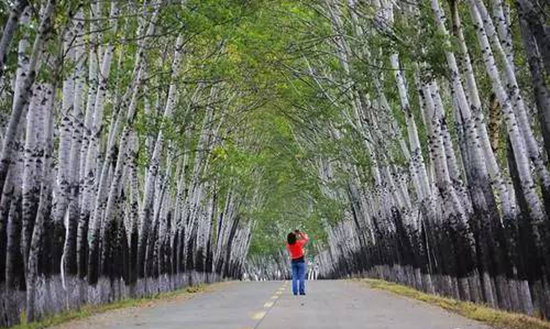 中国八大最美环湖公路 一定要自驾一次!