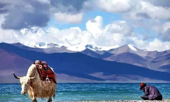 国内最美28条自驾路线,绝对要收藏起来!