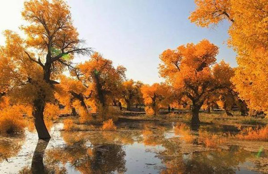 国内最美28条自驾路线,绝对要收藏起来!