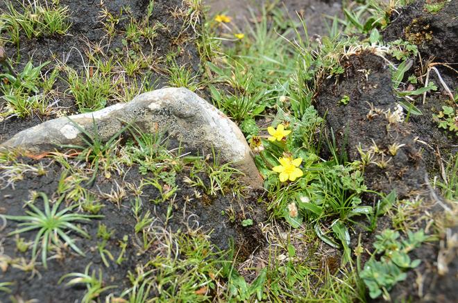 最美中国行 与雪佛兰一起自驾去亚丁