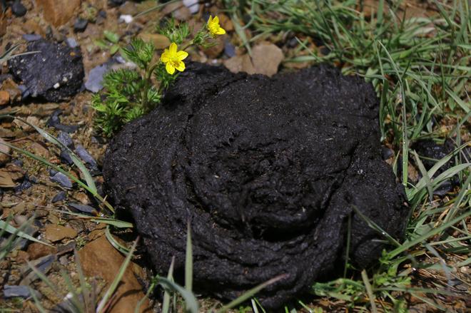 最美中国行 与雪佛兰一起自驾去亚丁