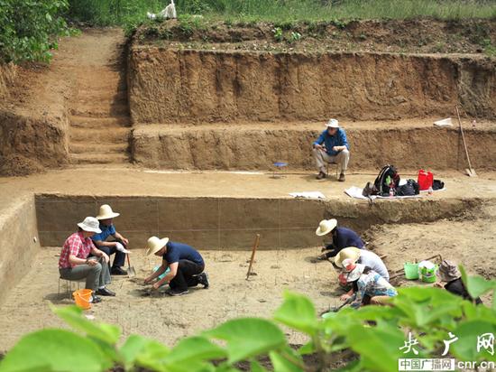 美国科学院院士埃里克等在灵井许昌人遗址发掘现场