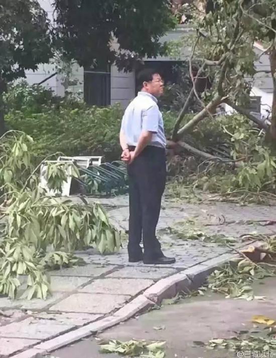 台风过后，一组厦大校长背影的照片在网上走红。老校长在楼前彷徨，神情凝重，满脸心事，惹人心疼……