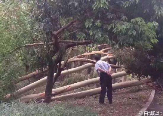 老校长查看灾情