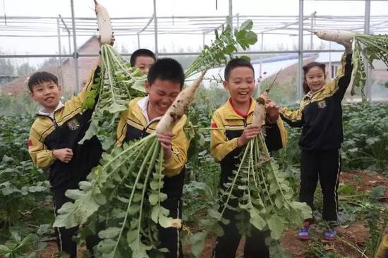 小学生亲自在农场采摘