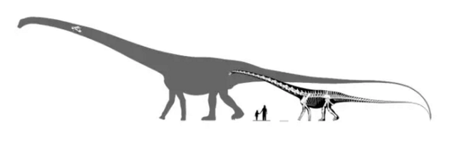 超级重龙（左侧灰色）与普通重龙（右侧）以及人类的体型对比，由RAX博士制作