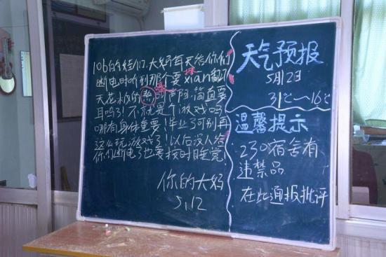 不就是个游戏吗?哪怀孕材重要!卒业了可别再这么玩游戏了!