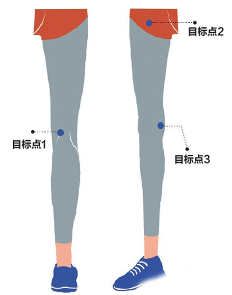 腿部静脉的流动路线