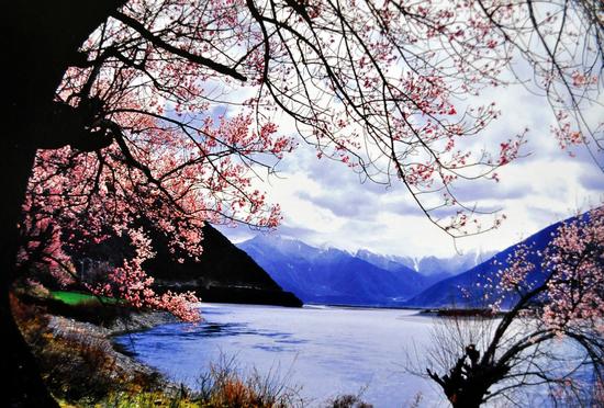 桃花与碧水交相辉映