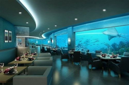 马尔代夫海底餐厅Ithaa