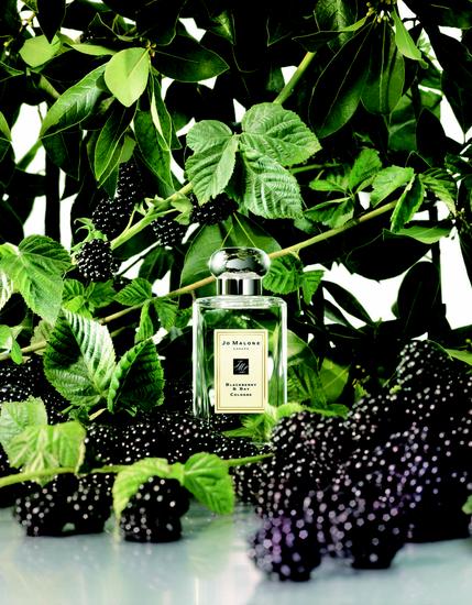 Jo Malone London祖·玛珑 黑莓与月桂叶香水Blackberry & Bay