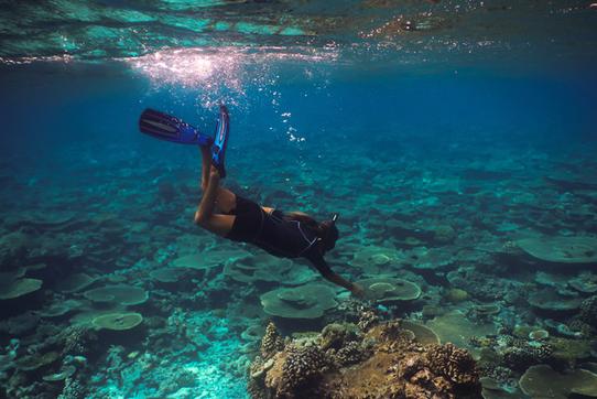 Soneva Fushi 位于 UNESCO 生态保护区的 Baa Atoll，附近的珊瑚礁很值得探索一番