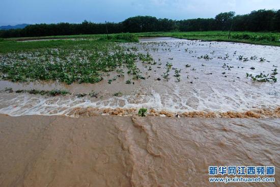 十号台风致江西九江10万余人受灾 1死2失踪