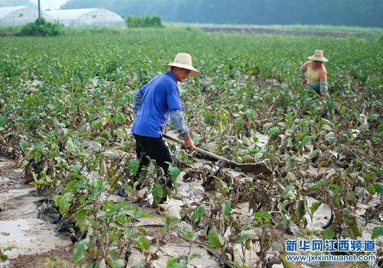 九江县暴雨过后忙重建(组图)