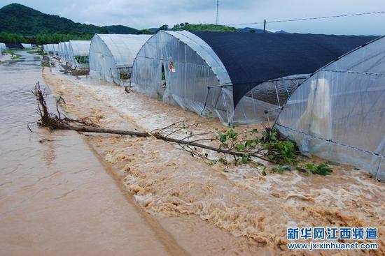 十号台风致江西九江10万余人受灾 1死2失踪