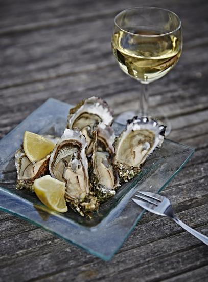 2014年波尔多葡萄酒节十大看点