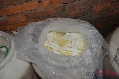 警方查获的毒竹笋,看似鲜嫩欲滴,实则剧毒无比。 晨报记者 吕淑婷 图