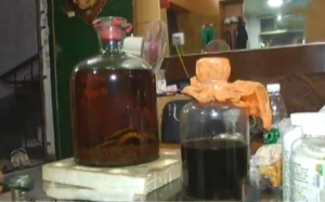 毒蛇泡酒22年