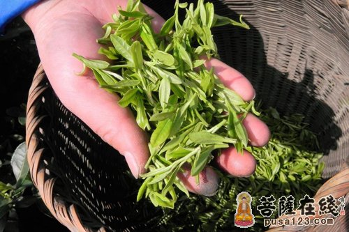 僧人饮茶源于“茶有三德”