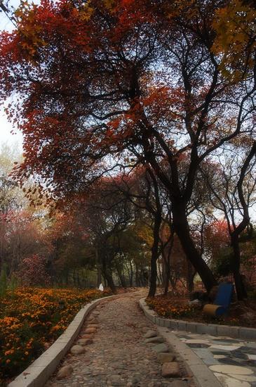 静享海边假期 北戴河喜来登秋日浪漫之旅|北戴