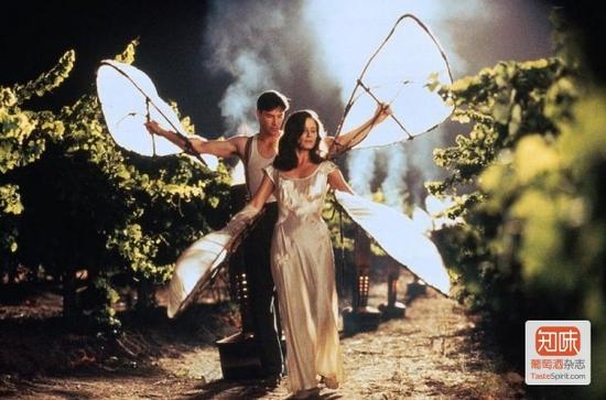 坏年份也能出好酒吗?|葡萄|葡萄酒|波尔多