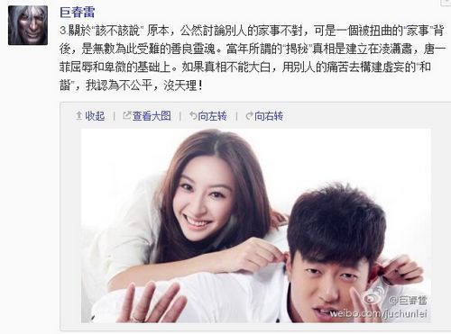 巨春雷再谈姚晨离婚内幕 替凌潇肃喊冤