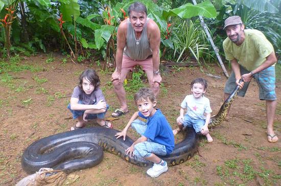 圭亚那教师捕获巨型蟒蛇 3名壮汉肩扛手提
