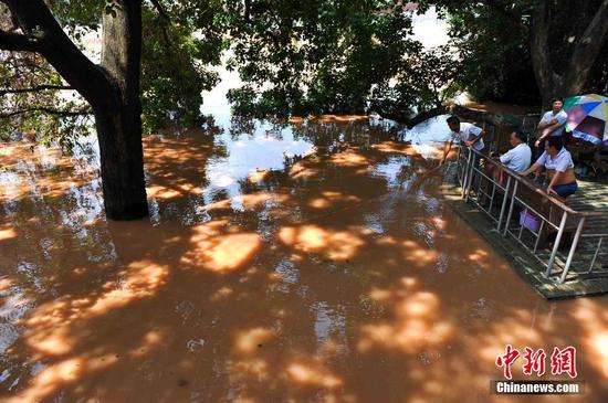 南宁迎洪峰公园被淹 市民水中淡定钓鱼