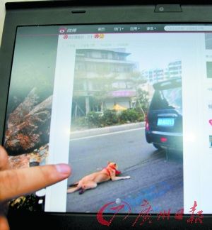 车友拍下车主飞车拖行狗的画面