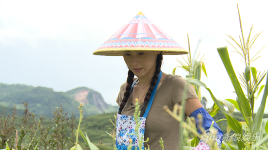 张柏芝做农活