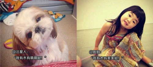 萌萌哒和美美哒