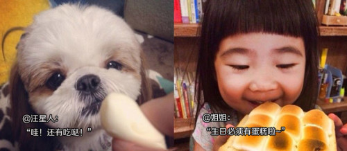 生日必须有蛋糕!