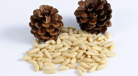 生松子仁怎么吃好 awrnsfu2103255.png