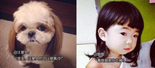 再看就把你吃掉