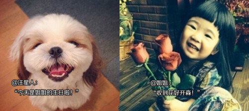 今天是姐姐的生日啦