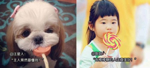 有棒棒糖的人生真美好