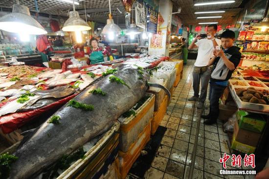 青岛渔民捕获412斤重“箭鱼王”