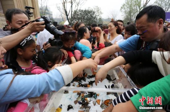 科普展放飞万只蝴蝶引市民哄抢抓捕