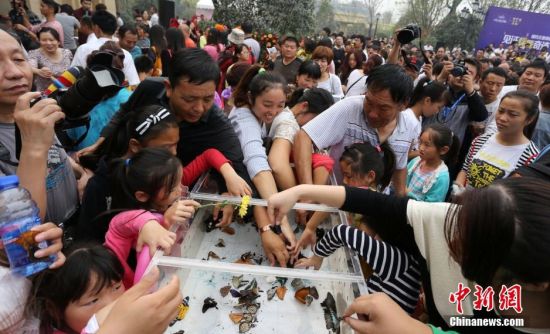 科普展放飞万只蝴蝶引市民哄抢抓捕