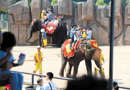 昨日下午，在长沙生态动物园大象馆，两只大象明星屡屡被逼与人合影。