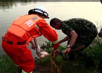 国庆长假最后一天 简阳一小孩到水塘游泳溺亡