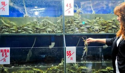 成都青石桥水产市场,大闸蟹今年价格下降幅度较大。