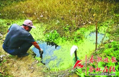 工厂旁农民已不用水沟水灌溉农田