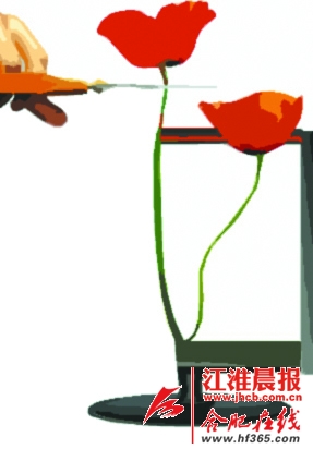 开个网店贩毒 合肥90后店主落网