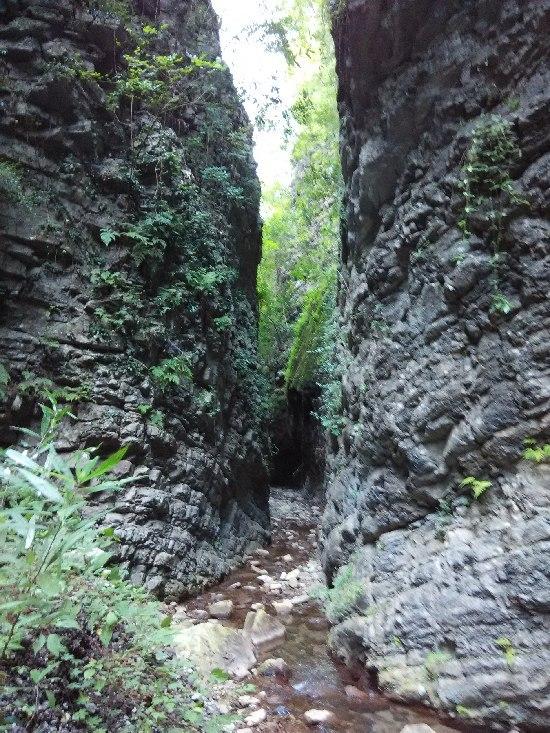 泸州现3公里长地缝