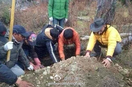 曝张扬新戏虐杀怀孕母鹿 回应：有报批