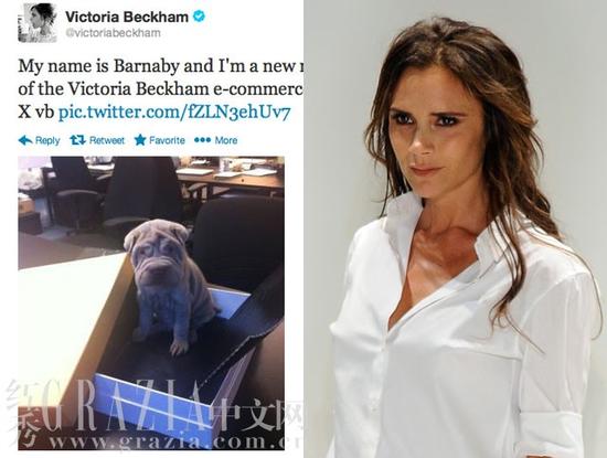 Victoria Beckham-Barnaby